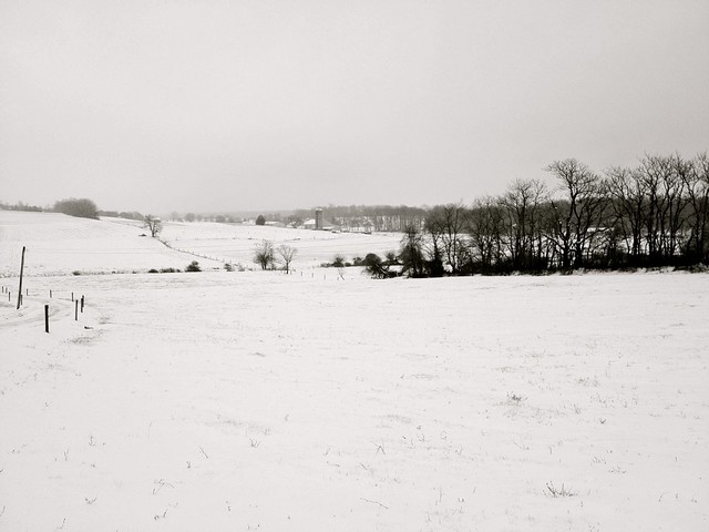 Snow-Covered Field