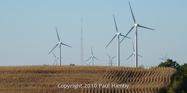 Wind Capital Group's wind turbines. Photo credit: Paul Hamby