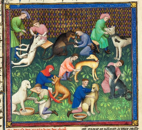 004-Le Livre de la chasse-1407- Gaston Phoebus- MS M. 1044 – fol 31v-detalle-© The Morgan Library & Museum