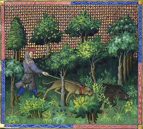 016-Le livre de chasse-Rastreo del jabali- ms 616- folio 66-© BNF