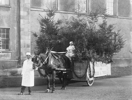 Is she old enough to drive that thing? by National Library of Ireland on The Commons