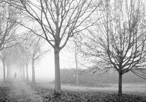 Fotografare nella nebbia. by Claudio61 una foto ferma un ricordo nel tempo