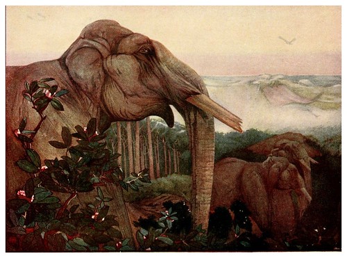 026-Los elefantes- The jungle book 1913-Ilustrado por Edward Detmold