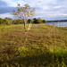 brasilia lago norte lixocultural 29dez11 049