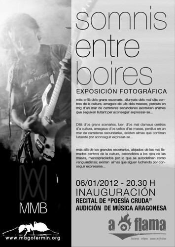 SOMNIS ENTRE BOIRES - Exposició de fotografia sobre grups de música