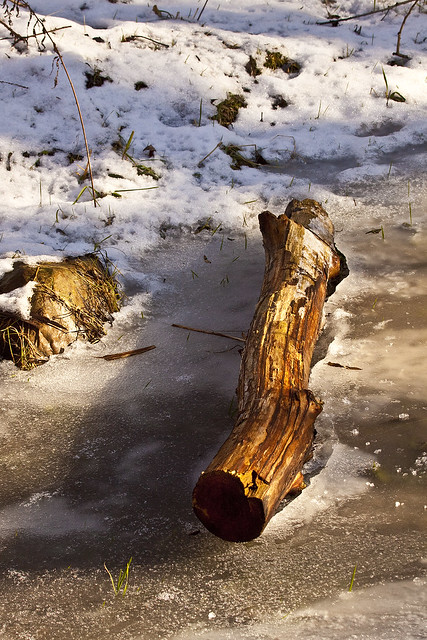 ice log
