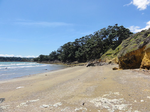Private beach below Te Whau
