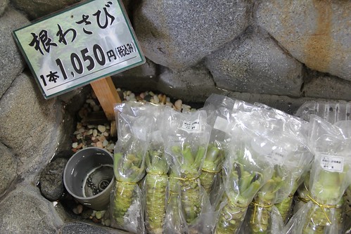 Wasabi root 根わさび