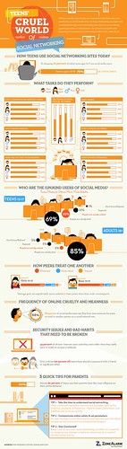 teens-cruel-world-of-social-media-infographic