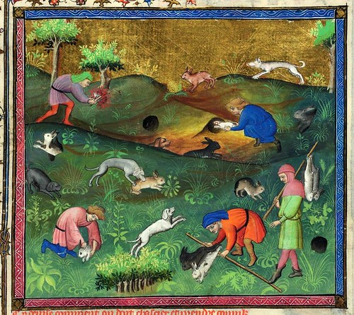 011-Le Livre de la chasse-1407- Gaston Phoebus- MS M. 1044 – fol. 82-detalle -© The Morgan Library & Museum