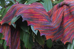 2011 Finished Knitting Projects