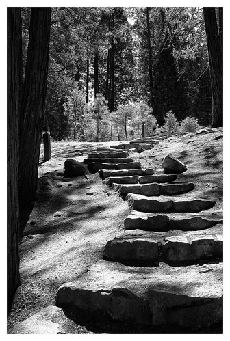 Stone Path B&W by KJDreese