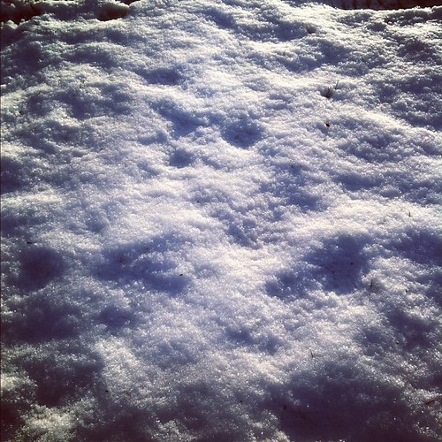 Goodbye snow. You were so sparkly.