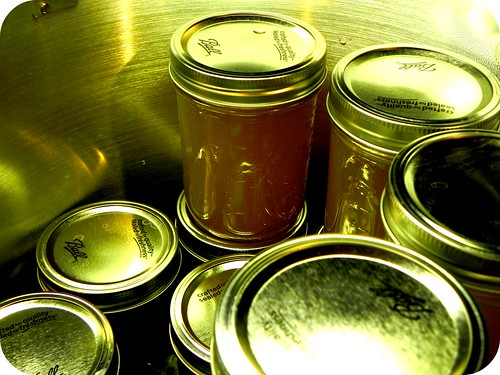 Trying something new... Canning! by KS Girl