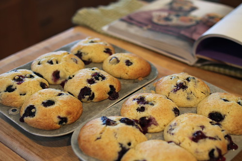 blythes blueberry muffins