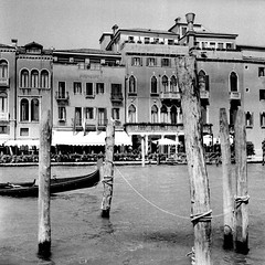 Venezia Yashica