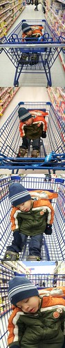 Si asleep in the cart at Walmart by Yvette's Photos