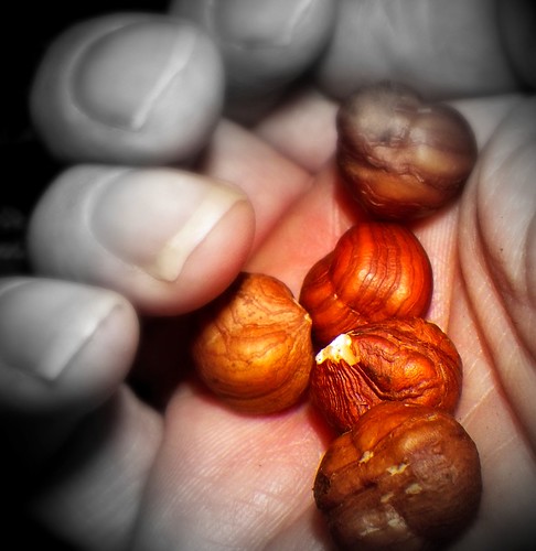 Playing 'Nuts In My Hand'