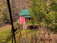 little house in the holler