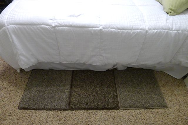 Carpet Guest Room