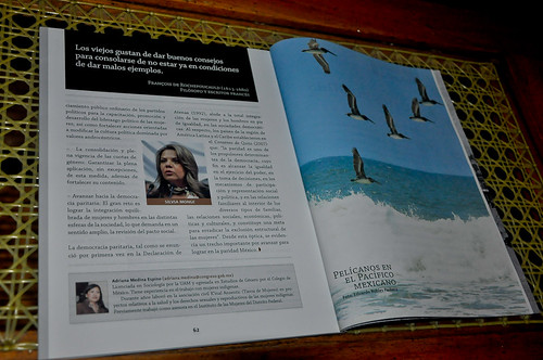 Revista Cámara - Noviembre 2011 (2)