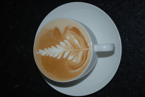 Latte Art - a fern
