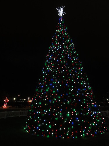 Saint Petersburg Christmas Tree
