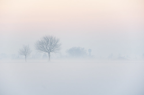  無料写真素材, 自然風景, 樹木, 霧・霞, 雪, 風景  イタリア, 白色・ホワイト  