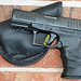 Remora Holster, Walther PPQ