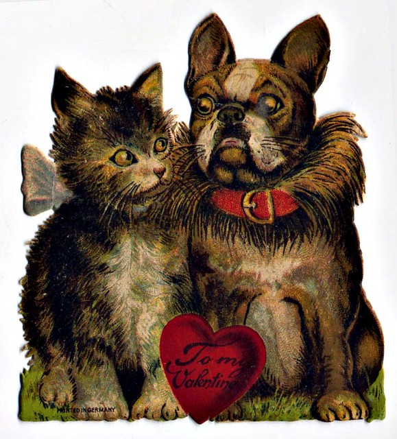 French Bulldog with Cat 'To My Valentine'