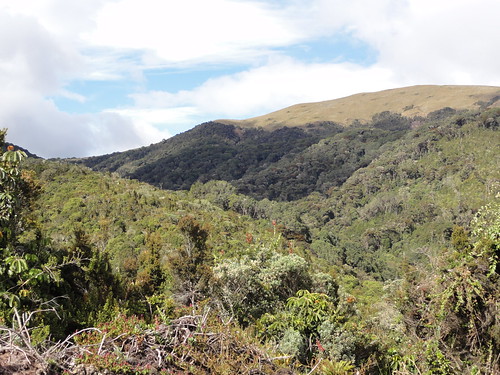 Guandera reserve in sunshine