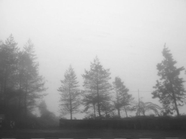 IMG_0850 Mist - Genting Highlands