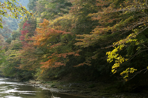 Autumn tints by keganimushi