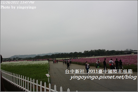 2011臺中國際花毯節20111126_I2134