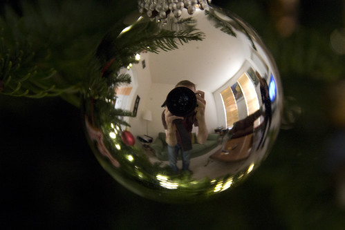 Day 344 - Decorating the Christmas Tree