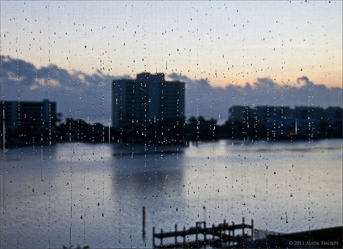 Rain on screen by Alida's Photos