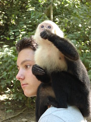 Monkey on a guy's shoulder