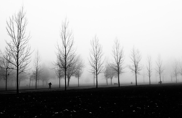 Foggy day 2011-1