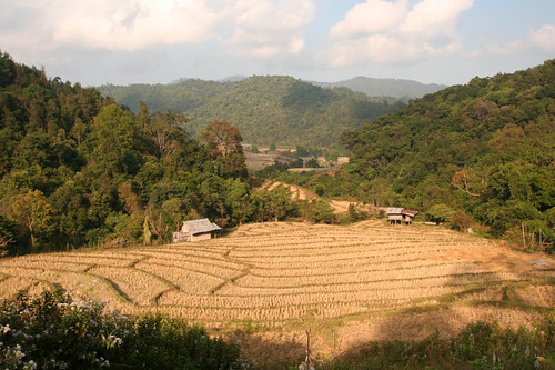Thailand countryside