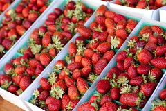 strawberries @ santa monica farmers market