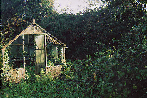 Greenhouse dreamhouse
