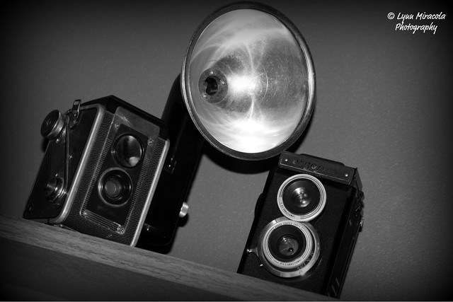 Vintage Cameras in B&W