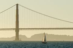 SF Bay Area 2011