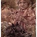 011-Un perro perdido-Birds and beasts 1911- Edward Detmold