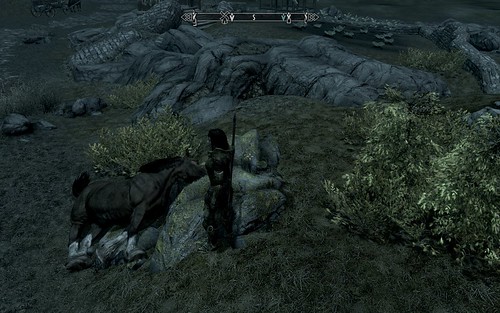 Skyrim - It's hard to keep a horse