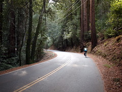 Climbing Old Santa Cruz Highway