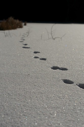 footprints by keganimushi