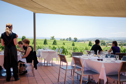 Dining by the vines