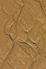Sand Formations