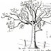 Semaine 3: un arbre